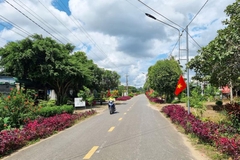 Đèn Năng Lượng Mặt Trời Thắp Sáng Đường Quê - Nông Thôn Mới