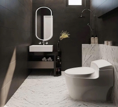 Mẫu nhà cấp 4 hiện đại mái thái 9x20m