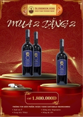 COMBO RƯỢU VANG TẾT (MUA 2 TẶNG 2)