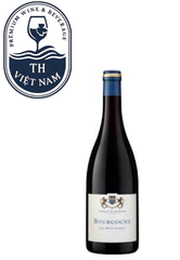 Domaine Thibault Liger Belair Bourgogne Les Deux Terres