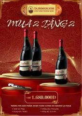 COMBO RƯỢU VANG TẾT (MUA 2 TẶNG 2)