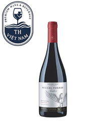 Miguel Torres Andica Gran Reserva Pinot Noir Maule Coastal