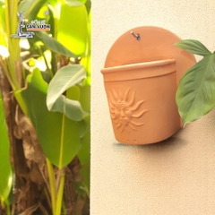 Chậu Treo Tường Đất Nung Hoa Văn Mặt Trời - Gốm Sứ Sân Vườn