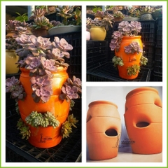Chậu Gốm Đất Nung Hình Túi Đứng Strawberry Pot - Gốm Sứ Sân Vườn