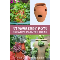 Chậu Gốm Đất Nung Hình Túi Đứng Strawberry Pot - Gốm Sứ Sân Vườn