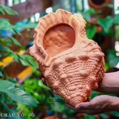 Chậu Gốm Đất Nung Hình Vỏ Ốc Nhọn - Gốm Sứ Sân Vườn - Trồng Sen Đá