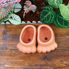 Chậu Gốm Đất Nung Hình Bàn Chân - Gốm Sứ Sân Vườn - Chậu Đất Nung Trồng Sen Đá