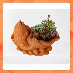 Chậu Gốm Đất Nung Hình Chậu Cá - Gốm Sứ Sân Vườn