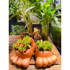 Chậu Gốm Đất Nung Hình Bàn Chân - Gốm Sứ Sân Vườn - Chậu Đất Nung Trồng Sen Đá