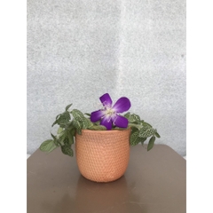 Chậu Gốm Đất Nung Dáng Trụ Tròn Vân Gạch - Gốm Sứ Sân Vườn - Trồng Sen Đá, Xương Rồng