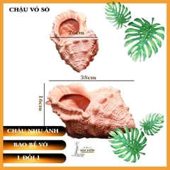 Chậu Gốm Đất Nung Hình Vỏ Ốc Nhọn - Gốm Sứ Sân Vườn - Trồng Sen Đá