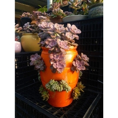Chậu Gốm Đất Nung Hình Túi Đứng Strawberry Pot - Gốm Sứ Sân Vườn