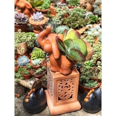 Chậu Gốm Đất Nung Hình Chú Voi Tai To - Gốm Sứ Sân Vườn