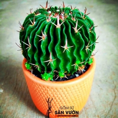 Chậu Gốm Đất Nung Dáng Trụ Tròn Vân Gạch - Gốm Sứ Sân Vườn - Trồng Sen Đá, Xương Rồng