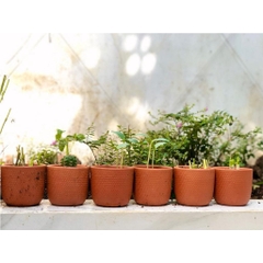 Chậu Gốm Đất Nung Dáng Trụ Tròn Vân Gạch - Gốm Sứ Sân Vườn - Trồng Sen Đá, Xương Rồng