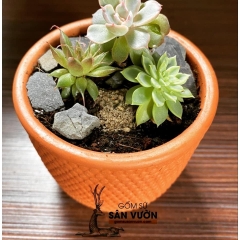 Chậu Gốm Đất Nung Dáng Trụ Tròn Vân Gạch - Gốm Sứ Sân Vườn - Trồng Sen Đá, Xương Rồng