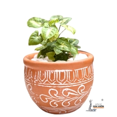 Chậu Gốm Đất Nung Trồng Cây Dáng Chum Vân Hoa - Gốm Sứ Sân Vườn