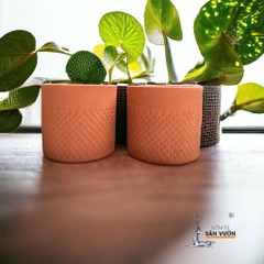 Chậu Gốm Đất Nung Vân Trụ Kim Cương  - Gốm Sứ Sân Vườn
