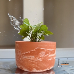 Chậu Gốm Đất Nung Dáng Trụ Lùn Trơn / Loang / Cắt Rối - Gốm Sứ Sân Vườn