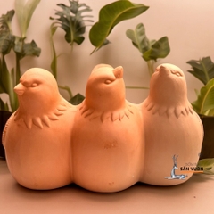 Chậu Gốm Đất Nung Hình 3 Chú Chim - Gốm Sứ Sân Vườn