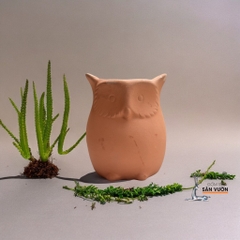Chậu Gốm Đất Nung Hình Chú Cú Nhỏ Dễ Thương - Gốm Sứ Sân Vườn - Chậu Gốm Đất Nung Trồng Sen Đá
