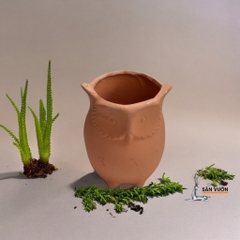 Chậu Gốm Đất Nung Hình Chú Cú Nhỏ Dễ Thương - Gốm Sứ Sân Vườn - Chậu Gốm Đất Nung Trồng Sen Đá