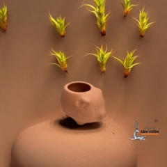 Chậu Gốm Đất Nung Hình Heo Con Mini - Gốm Sứ Sân Vườn