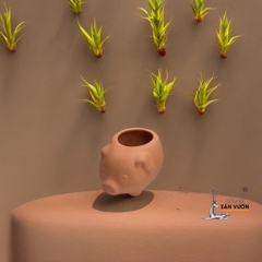 Chậu Gốm Đất Nung Hình Heo Con Mini - Gốm Sứ Sân Vườn