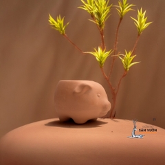 Chậu Gốm Đất Nung Hình Heo Con Mini - Gốm Sứ Sân Vườn