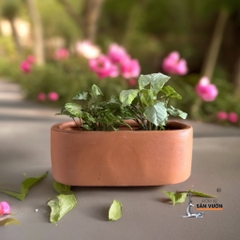 Chậu Treo Ốp Tường Gốm Đất Nung Hình Chữ Nhật Tròn - Gốm Sứ Sân Vườn