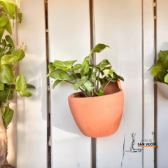 Chậu Treo Gốm Đất Nung Dáng Trứng Dẹp, Trơn - Gốm Sứ Sân Vườn