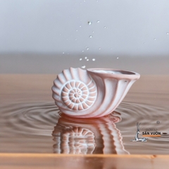 Chậu Gốm Đất Nung Hình Vỏ Ốc Xoắn - Gốm Sứ Sân Vườn