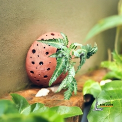 Decor Gốm Đất Nung Hình Trái Tim, Cá Ngựa, Vuông, Tròn, Thoi - Gốm Sứ Sân Vườn