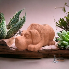 Chậu Gốm Đất Nung Hình Thú Dễ Thương ( Voi, Trâu, Gấu, Thỏ, Cún) - Gốm Sứ Sân Vườn