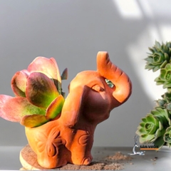 Chậu Gốm Đất Nung Hình Chú Voi Tai To - Gốm Sứ Sân Vườn