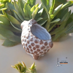 Chậu Đất Nung Hình Con Cừu ( Size Nhỏ )	- Gốm Sứ Sân Vườn - Chậu Trồng Sen Đá Dễ Thương