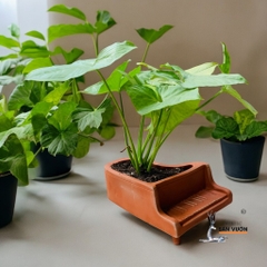 Chậu Gốm Đất Nung Hình Đàn Piano - Gốm Sứ Sân Vườn