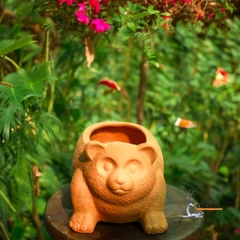Chậu Gốm Đất Nung Hình Thú Dễ Thương ( Voi, Trâu, Gấu, Thỏ, Cún) - Gốm Sứ Sân Vườn