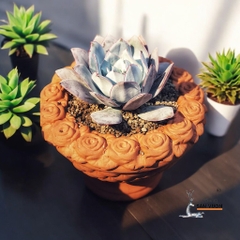 Chậu Gốm Đất Nung Viền Hoa Hồng - Gốm Sứ Sân Vườn