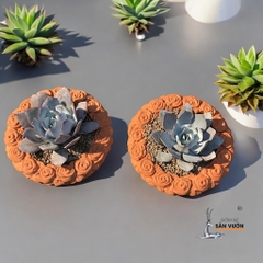 Chậu Gốm Đất Nung Viền Hoa Hồng - Gốm Sứ Sân Vườn