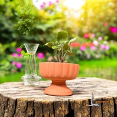 Chậu Gốm Đất Nung Để Bàn Hình Cúp Hoa - Gốm Sứ Sân Vườn