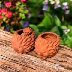 Chậu Gốm Đất Nung Hình Gia Đình Nhím - Gốm Sứ Sân Vườn - Trồng Sen Đá