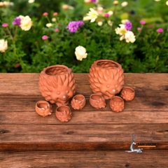 Chậu Gốm Đất Nung Hình Gia Đình Nhím - Gốm Sứ Sân Vườn - Trồng Sen Đá