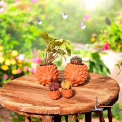 Chậu Gốm Đất Nung Hình Gia Đình Nhím - Gốm Sứ Sân Vườn - Trồng Sen Đá