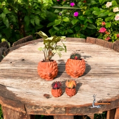 Chậu Gốm Đất Nung Hình Gia Đình Nhím - Gốm Sứ Sân Vườn - Trồng Sen Đá