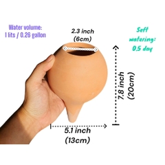 Bình Gốm Tưới Nước Tự Động Cho Cây - Gốm Sứ Sân Vườn