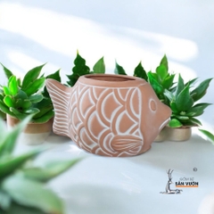 Chậu Gốm Đất Nung Hình Chú Cá - Gốm Sứ Sân Vườn