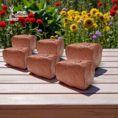 Đất Sét Đỏ Terracotta Rouge Cao Cấp Dẻo Mịn Dùng Làm Chậu Cây Trang Trí & Mỹ Nghệ - Gốm Sứ Sân Vườn