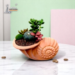 Chậu Gốm Đất Nung Hình Vỏ Ốc Xoắn - Gốm Sứ Sân Vườn