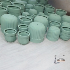 Combo Đĩa Lót Và Chậu Gốm Đất Nung Hình Trái Khế Sơn Màu Pastel - Gốm Sứ Sân Vườn